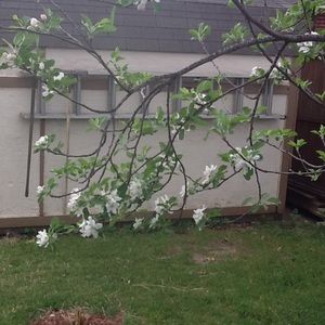 Meet your Posher, Lois